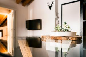 Aosta Holiday Apartments - Gressanにあるテレビまたはエンターテインメントセンター