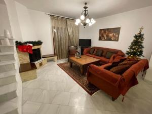 ein Wohnzimmer mit einer Couch und einem Weihnachtsbaum in der Unterkunft Villa Hill in Tríkala