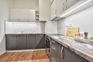 Kuchyň nebo kuchyňský kout v ubytování Apartmán v centru Olomouce + 6 fotografií