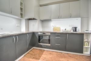Kuchyň nebo kuchyňský kout v ubytování Apartmán v centru Olomouce