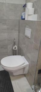 bagno con servizi igienici e un mucchio di asciugamani di Apartment T & P a Krapina Altre 5 foto