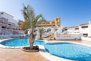 una piscina con una palma di fronte a un edificio di Home2Book Ocean Park Cozy Apt with Pool, Adeje ad Adeje