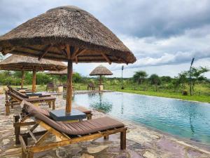 Bazén v ubytování Africa Safari Serengeti Ikoma nebo v jeho okolí