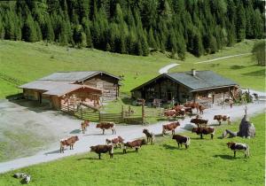 Zdjęcie z galerii obiektu Palfnerhof Appartements w mieście Sankt Johann im Pongau
