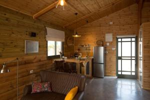 Assaf Boutique Winery & Cabins في Kidmat Tsvi: غرفة معيشة مع أريكة ومطبخ في كابينة