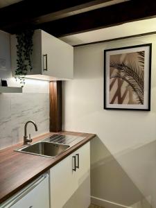 a kitchen with white cabinets and a sink at Le Petit Jardin, proche gare, hyper centre in Cambrai +18 photos