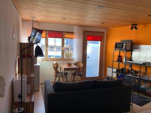 TV a/nebo společenská místnost v ubytování Chasa Bazzi