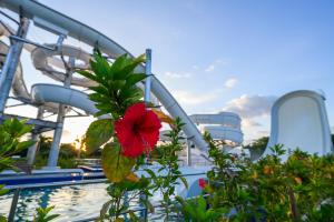 a water slide on a cruise ship with a red flower at Grand Mercure Okinawa Cape Zanpa Resort in Yomitan