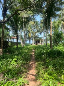 Gallery image of Bodhi Beach House Kannur in Kannur