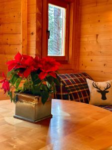 Fotografie z fotogalerie ubytování Chalet kleiner Bär v destinaci Ellmau