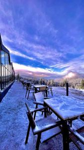 a row of picnic tables in the snow at Barátság Panzió - Pensiunea Barátság in Ditrău