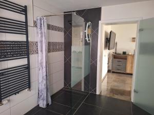 a bathroom with a shower with a glass door at Sonnenhof Rainrod in Schwalmtal