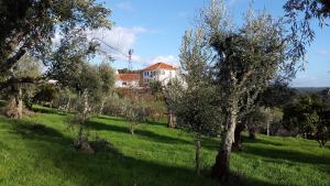 Paisagem natural perto do bed and breakfast