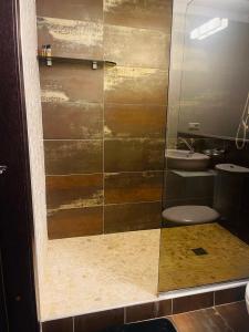 a bathroom with a shower with a toilet and a sink at Panoramic city center apartment in Klaipėda +27 photos