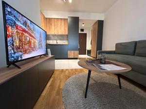 TV a/nebo společenská místnost v ubytování OpenView Apartment