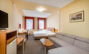 TV a/nebo společenská místnost v ubytování Platan Hotel