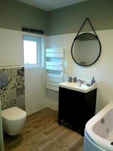 een badkamer met een wastafel, een toilet en een spiegel bij Aillan Hervé villa avec piscine privée chauffée in Mirabel-aux-Baronnies +13 foto's