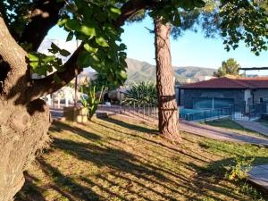 a tree in a yard with a fence and a house at Posada Spa Anabela in Huerta Grande
