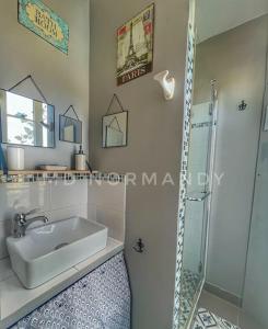 a bathroom with a sink and a shower at Maison centre Villerville in Villerville +28 photos