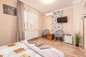 TV a/nebo společenská místnost v ubytování Janika Pension