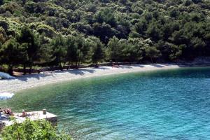 a beach with people sitting on the shore of a lake at Apartment Griv in Valun +38 photos