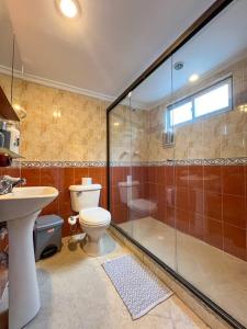 a bathroom with a toilet and a shower and a sink at Party house, poblado, Movie Theater, Terrace in Envigado