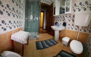 a bathroom with a shower and a sink and a toilet at Bed and Breakfast Santa Elisa in Pero