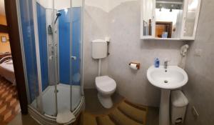 a bathroom with a shower and a toilet and a sink at Bed and Breakfast Santa Elisa in Pero