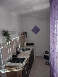 Dapur atau dapur kecil di Apartman Aleksandra Zlatibor Zlatiborski Andjeo