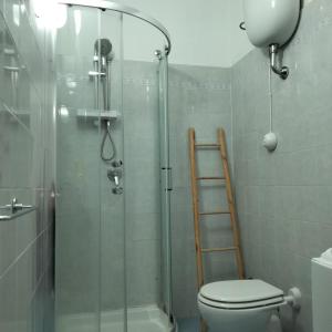 a bathroom with a shower with a toilet and a ladder at Monolocale con veranda e giardino a Rio Marina in Rio Marina +48 photos