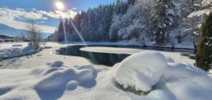 Το Hotel Bad Neunbrunnen am Waldsee - non Halal τον χειμώνα