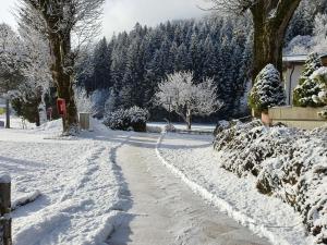 Το Hotel Bad Neunbrunnen am Waldsee - non Halal τον χειμώνα