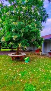 Zahrada ubytování บ้านไม้หอมบูติค สวนผึ้ง