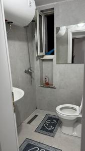 a small bathroom with a toilet and a sink at Sark in Lezhë +25 photos