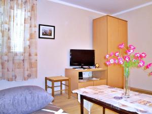 Μια τηλεόραση ή/και κέντρο ψυχαγωγίας στο Apartments Vila Nidisa