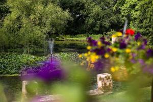 a garden with purple and yellow flowers and a pond at Albrighton Hall Hotel and Spa, a member of Radisson Individuals in Shrewsbury