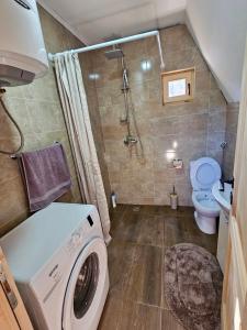 a bathroom with a washer and a toilet and a shower at Wilderness Cabin in Kolašin