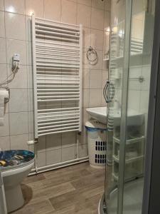 e bagno con servizi igienici e porta doccia in vetro. di Kořenov byt Alda a Kořenov Altre 37 foto