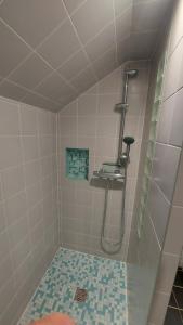ein Bad mit einer Dusche und Fliesenboden in der Unterkunft Maison La Belfort You proche TechnHom in Belfort + 64 Fotos