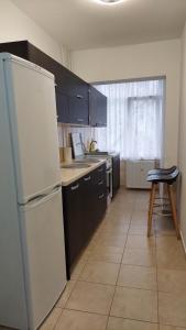 Kuchyň nebo kuchyňský kout v ubytování Zamca Studio