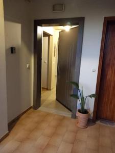 Gallery image of Kyparissia Bliss in Kyparissia