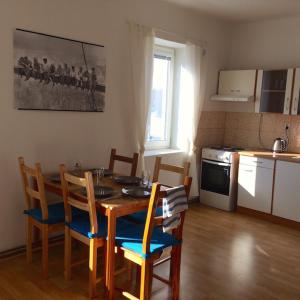 Kuchyňa alebo kuchynka v ubytovaní Apartment Liberec Stříbrný Kopec