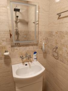 un baño con lavabo y espejo en Конна база Ескус Хорсес, en Gigen