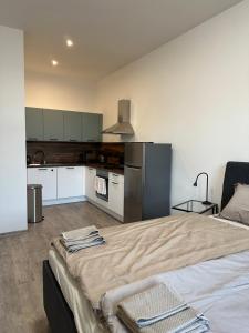 מטבח או מטבחון ב-Apartmán Palackého