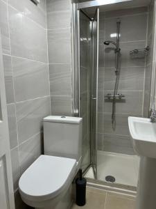 a bathroom with a toilet and a shower and a sink at Snow hill rooms in Birmingham