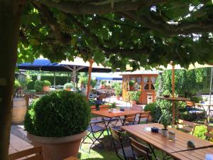 Zahrada ubytování Gasthaus Sonnen