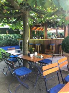 Zahrada ubytování Gasthaus Sonnen