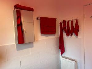 un bagno con asciugamani rossi e uno specchio di Skyline Self Service a Leigh Altre 11 foto