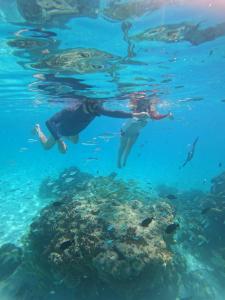 Hosté ubytování Vegas Thoddoo Maldives
