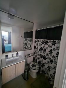 a bathroom with a toilet and a sink and a mirror at Cómodo departamento sector norte arriendo por dia Edificio Velas del norte 1 in Antofagasta
